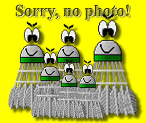 Momentan kein Bild vorhanden